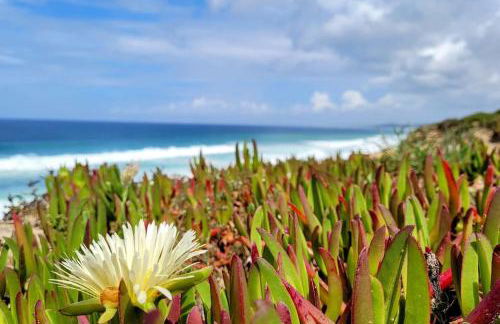 Casa da Alegria, um relaxante paraíso na praia, a 30 mins de Lisboa! - Foto 26