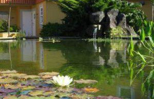 Quinta das Mineirinhas - Foto 21