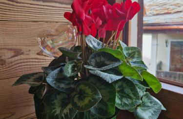 La Maison Des Coeurs, Cogne - Foto 40