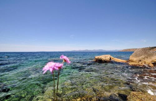 VILLA HUGO- Badia Gran- Llucmajor- Mallorca - Foto 42