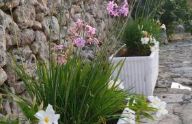 Agriturismo Tenuta La Siesta - Foto 92