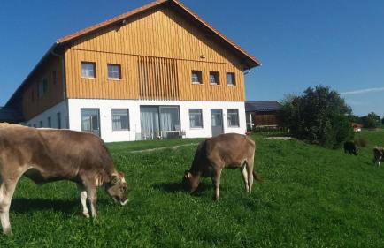 Bauernhaus Markus Köpf - Foto 20