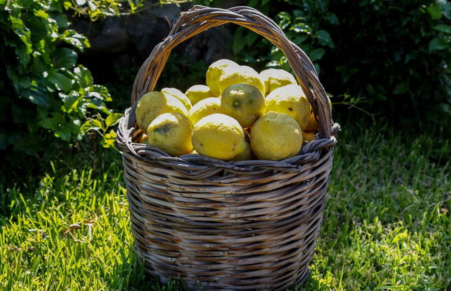 Agriturismo Galea - Foto 38