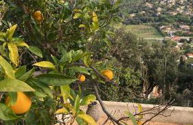 Casa Buenaventura - Foto 6