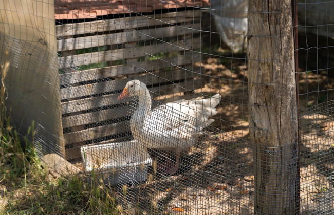 Agriturismo Sant'Andrea - Foto 49