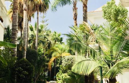 Duplex vistas al golf Guadalmina Marbella - Photo 12