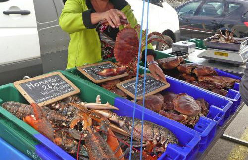 Stone House in Cleder near Les Amiets Beach - Foto 24