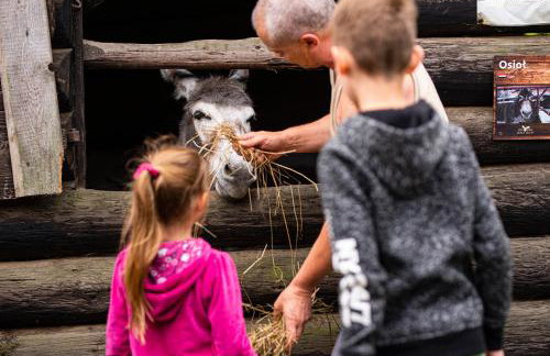 Bacówka Biały Jeleń - Photo 50