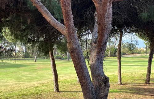 Playa Antilla Golf - Foto 17