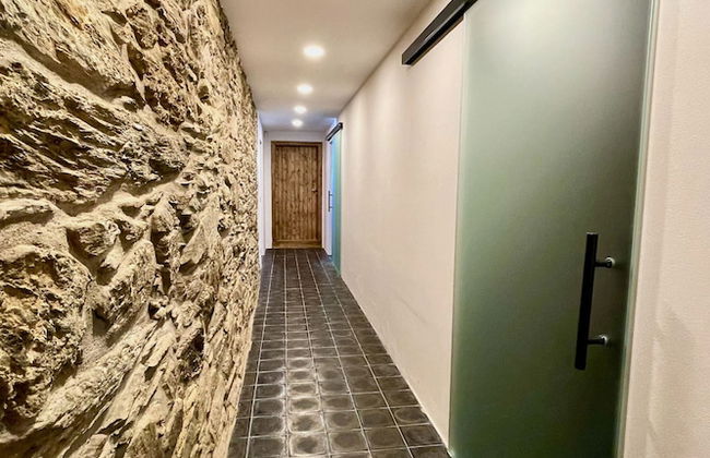 V Chov nad Jizerou Lvv033 - Photo 43