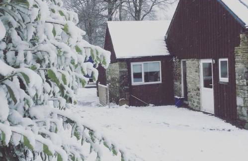 Y Boidy Bach - Photo 33