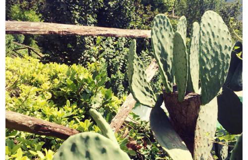 Agriturismo La Vecchia Quercia - Foto 98