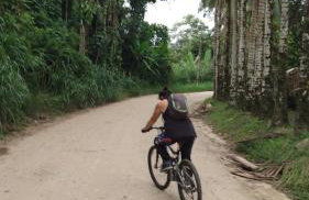 Casinhas do Rio - Casinha Azul na Floresta - Photo 25