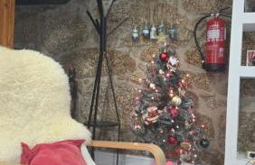 Quinta Rural - Nossa Sra do Carmo. Teixoso - Foto 8