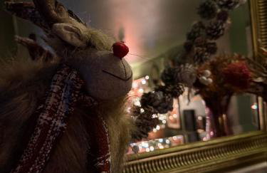 Hidden gem in heart of Breckland - Foto 6