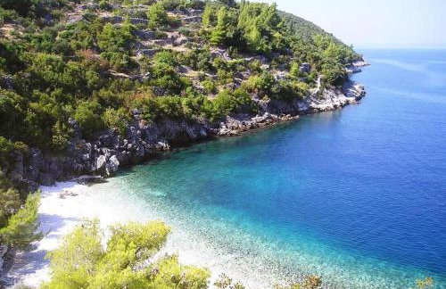 Vineyard House & Olive Grove House - Photo 61