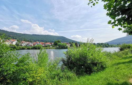 Ferienwohnungen Flussufer - Neckargemünd Altstadt - Foto 9