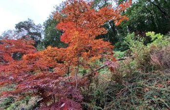 Rural retreat - Godremamog Mill - Photo 12