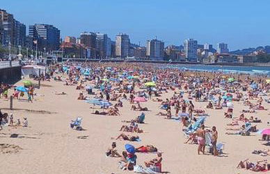 La Terracina - Foto 6