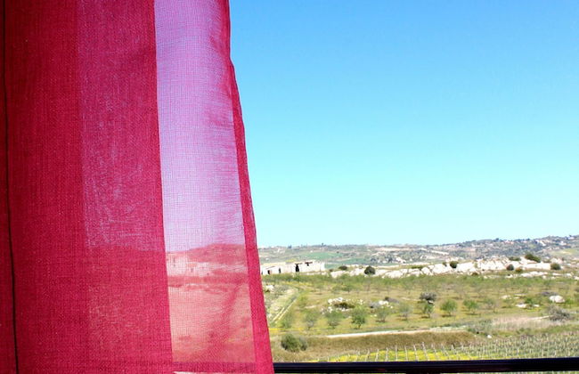 Agriturismo La Casa di Bacco - Foto 5