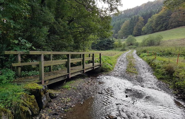 Lovely Apartment with Balcony in Willingen near Ski Lift - Photo 25