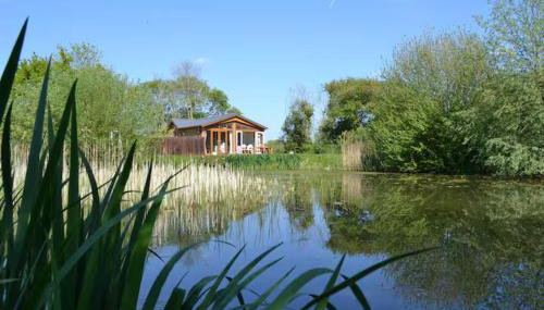 Welhams Meadow Holiday Lodges - Foto 1