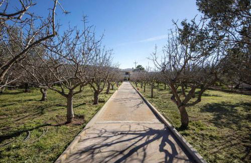 Family and friendly home. - Foto 36