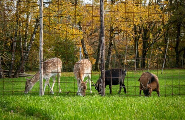 Cosy Apartment Near Center - Photo 29