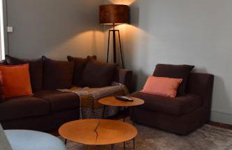 Les sternes de st Mathurin sur Loire , terrasse sur la Loire - Photo 6