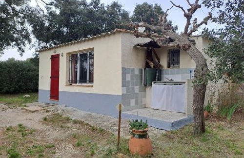 Gîte " Le Clos de la Pinède " - Foto 28