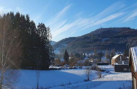 Chalet les Boudières 6 pers près Gerardmer Cosy Billard - Foto 18