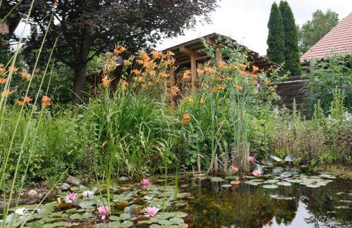 Gemütliche Gästezimmer in einem neu sanierten Fachwerkhaus - Foto 14