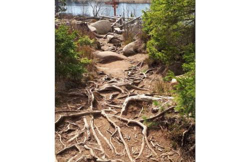 Holiday home in the Harz Mountains with 3 bedrooms - Foto 25