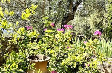 Maison Théia, entre mer et montagne Samonas - Foto 11