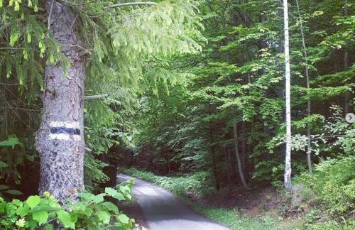 Przystanek Zawadka - Foto 41