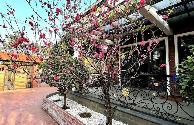 J'adore Garden House - Vinh Yen - Photo 17