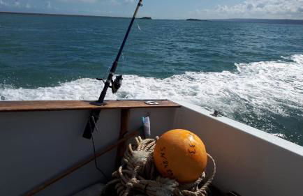 A la découverte du cotentin - Foto 21