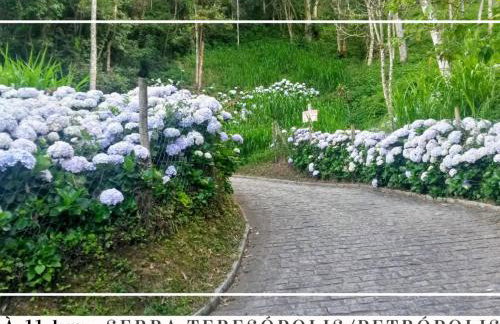 Hospedagem Doce Lar - Casa Bougainville - Foto 32