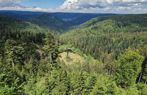 Ferienwohnungen Nordschwarzwald - Photo 5