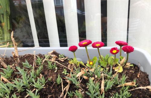 PondeROSEa Cottage Free Gated Parking M1 & City location, wood stove - Foto 15