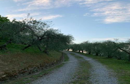 Capannori Stylish Townhouse - Foto 29