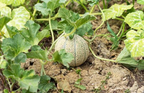 La Fabbrichina Il luogo della pace - Foto 57