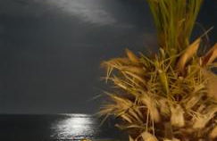 SEA VIEW TONIAS APARTMENTS Aphrodite - Foto 16