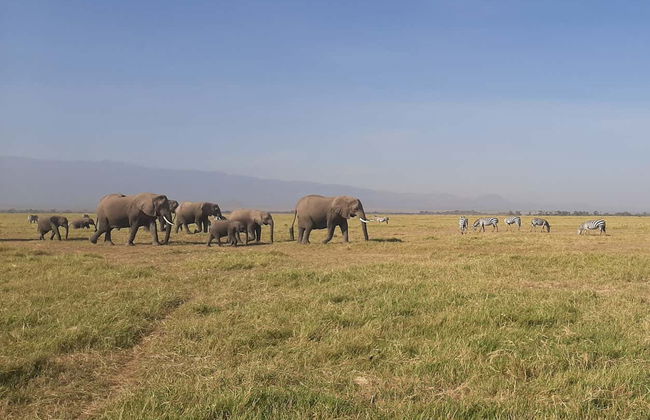 Safari privado de 3 días por el Parque Nacional de Amboseli - Foto 2