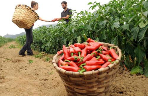 Belazkabieta - Foto 15