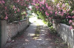 Apartments Ajka - Photo 6