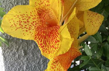 Serene Views - Foto 34