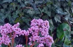 Agriturismo Cascina Knec - Photo 23