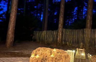 L Orée de la Pinède Hardelot Plage à 800 metres de la mer sous les pins - Foto 41