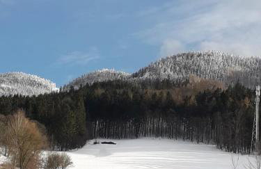 Apartament Zielony Zakątek - Foto 40